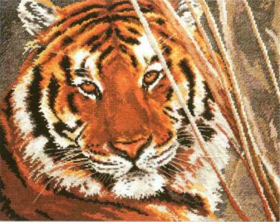 "Tigras" (Alisa, 1-08)