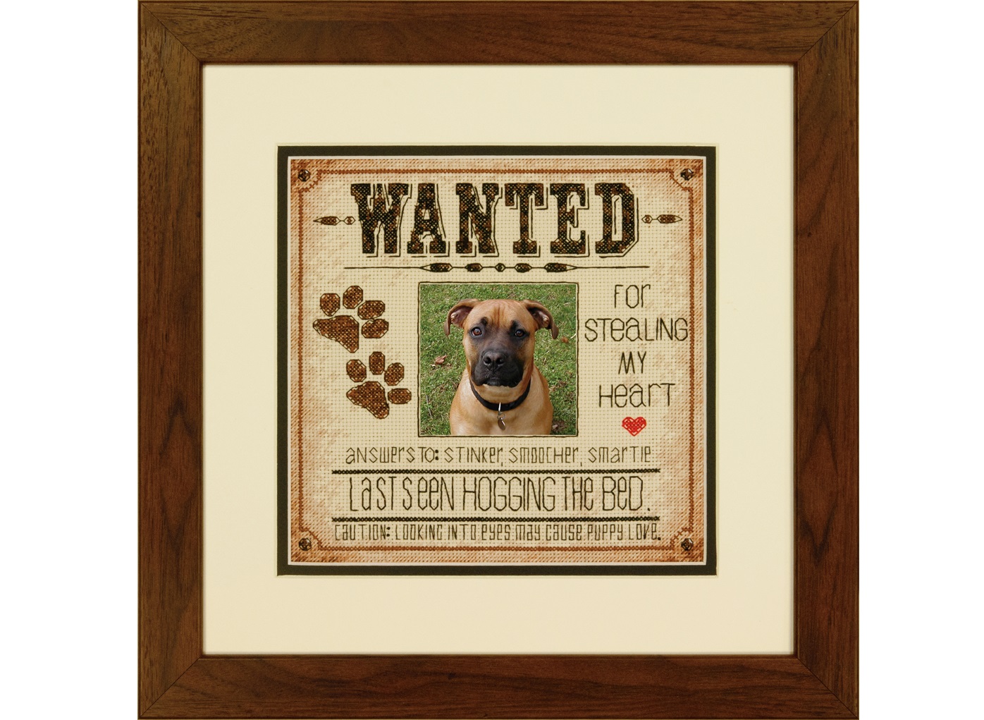 Dog Wanted (70-35316)