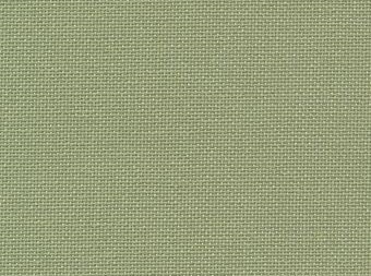 Evenweave 32 ct. Sp.Olive Green (6016). Dydis 50x34 cm