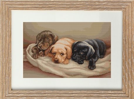 .Three Dogs (Luca-S G434)