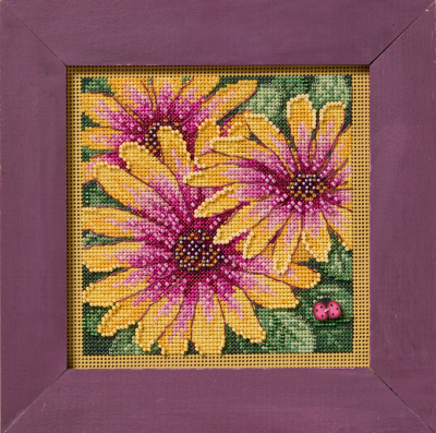 Mill Hill " African Daisies" (2025, MH14-2521)