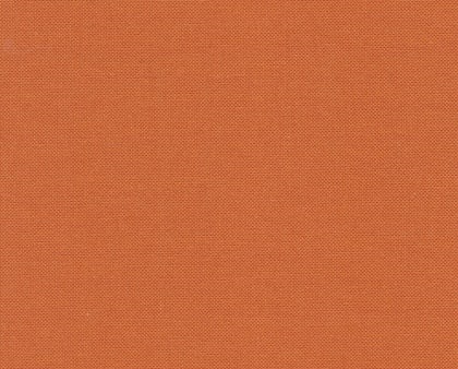 Evenweave 32 ct. Sp. Pumpkin (4010). Dydis 50x70 cm